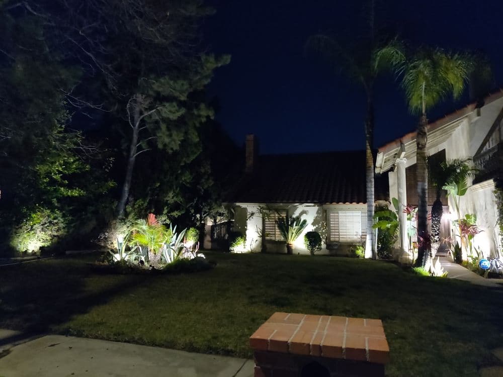 Nighttime view of a landscaped yard with palm trees and exterior lighting illuminating greenery.